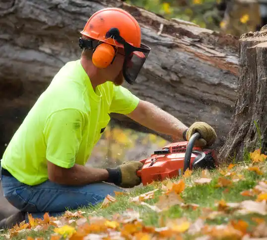 tree services Goodhue